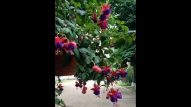 Духов день смотреть онлайн