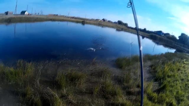 Ловля на УЛ-попперы с Maximus Egoist LE 762L смотреть онлайн