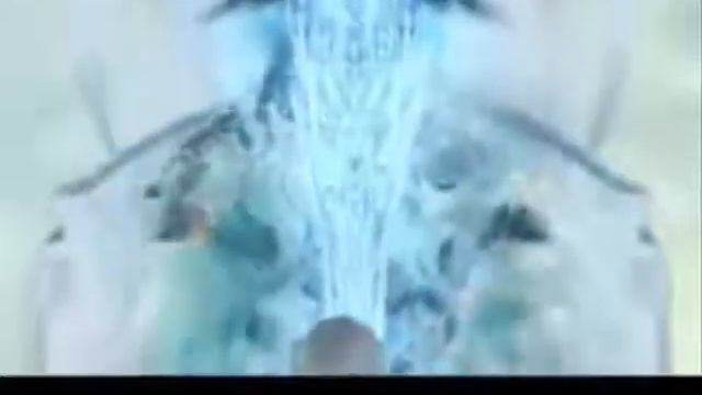 End of All Hope-Final Fantasy XII смотреть онлайн