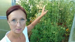 Видео привет с 6 соток 4 августа 2023 года. Хроника.