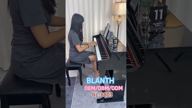 BLANTH digital piano смотреть онлайн