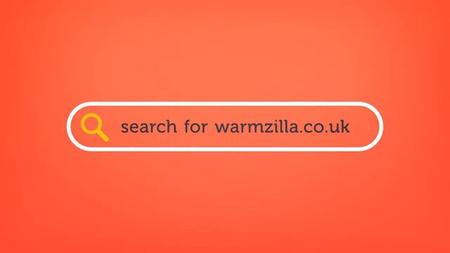 Vaillant F17 Error Code