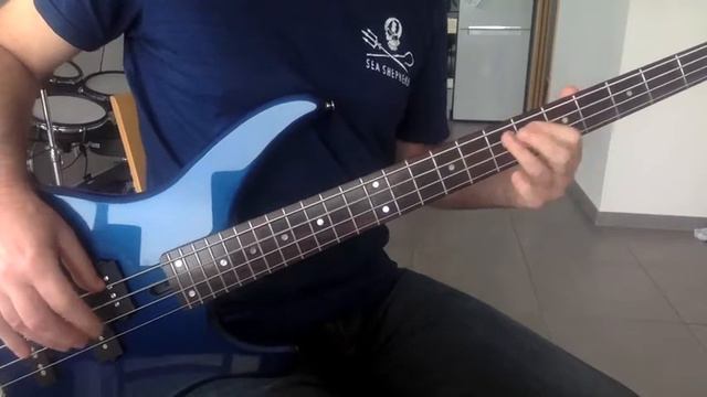 Iron Maiden - Revelations - Bass Cover смотреть онлайн