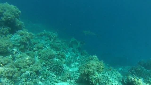 Solomon Islands - Honiara and Maravagi - Mangalonga Island смотреть онлайн