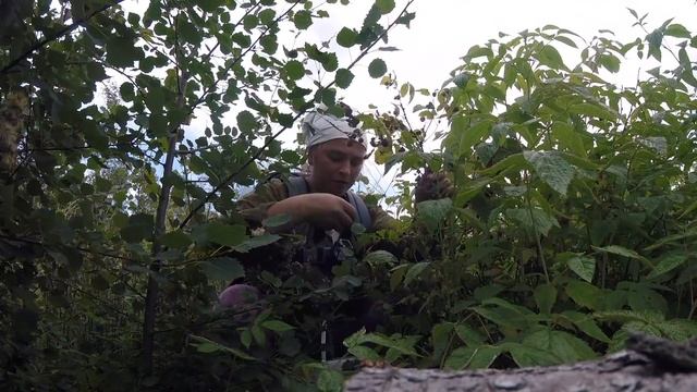 СОБИРАЛА МАЛИНУ, А ТУТ МЕДВЕДЬ, ЕЛЕ УБЕЖАЛА. ДОЮ КОРОВУ НА МОРОЖЕНОЕ С ТОЙ САМОЙ МАЛИНОЙ ? смотреть онлайн