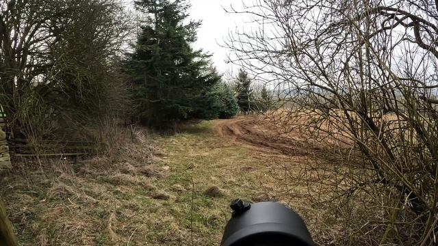 OM System OM-1 II Camera | Review | First Look