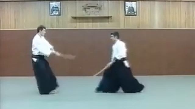 Aikido Christian Tissier - Aikiken (kashima Shin Ryu Basics)