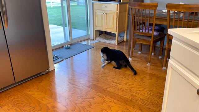 Рождество в апреле. ? Открываю Адвент календарь. смотреть онлайн