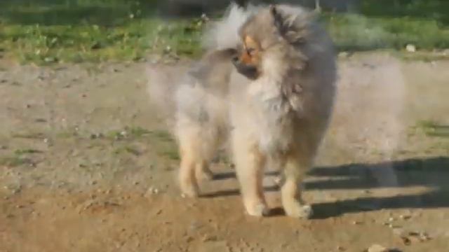 Мое утро / My Morning