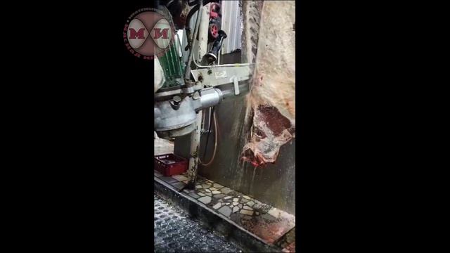 Пила для распиловки на полутуши шаговая Р3-ФРП2 (ПРТ-2)