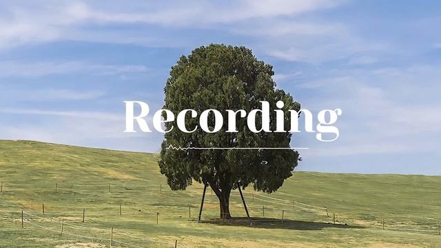 ???????? 봄바람이 불어오는 공원에서 Park & Picnic Mood смотреть онлайн
