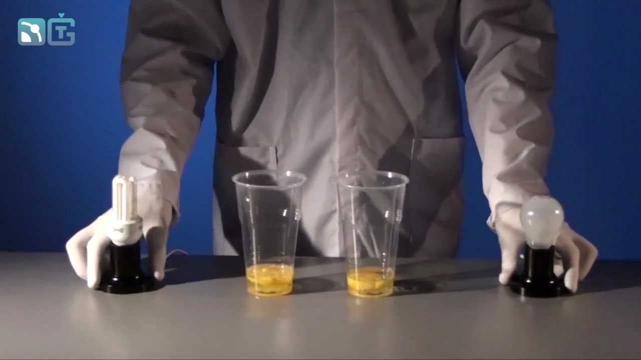 Яичница на лампочке - физические опыты