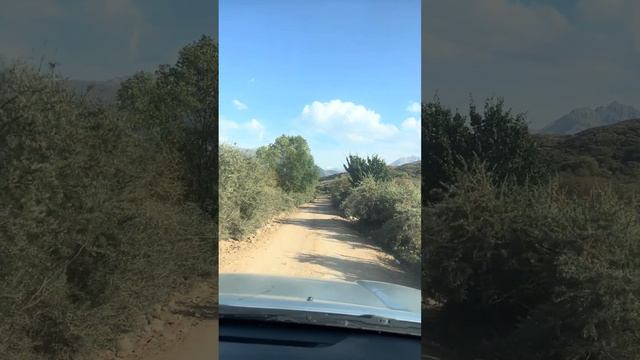 В горах Южного берега Иссык-куля смотреть онлайн