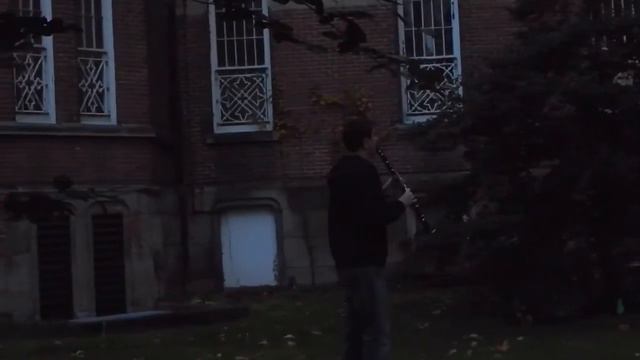 Luigi's Mansion (Mario Kart DS) - Clarinet Cover смотреть онлайн