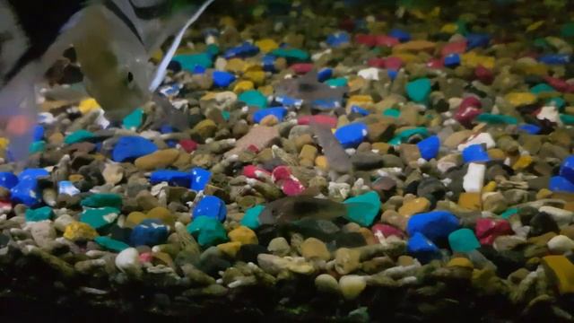 Небольшой отдых перед сном.Вечерний релакс. смотреть онлайн