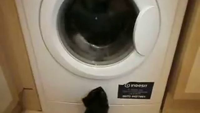 Indesit WIB111 Start of wash смотреть онлайн