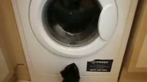 Indesit WIB111 Start of wash