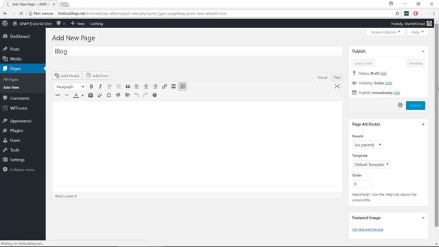 How to Change WordPress Homepage & Blog Page (Static Home Page) смотреть онлайн