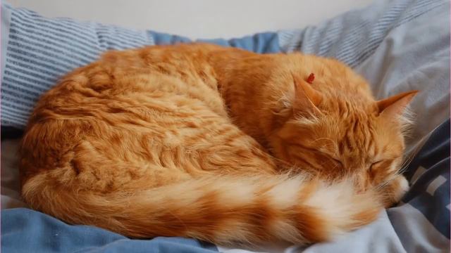 Хулиганы решили надругаться над девушкой и её родными. Они и подумать не могли какой силой она смотреть онлайн