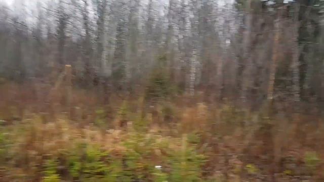 Охота на лося!? Или как подойти к лосю. смотреть онлайн