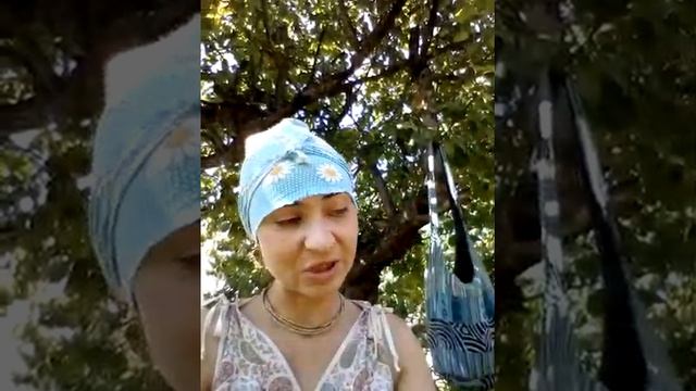 Дачный сезон.Что делать с морковью,если ее ботва пошла в цвет. смотреть онлайн