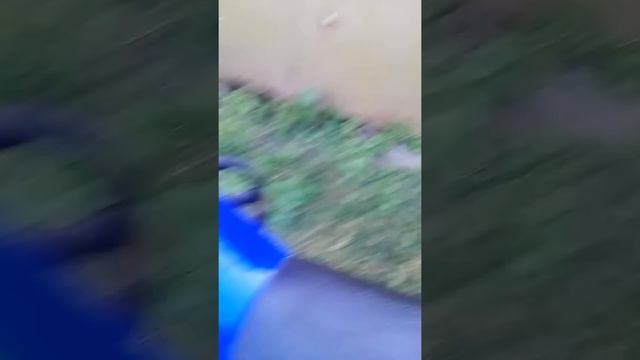 Обзор мопеда Альфа люкс смотреть онлайн