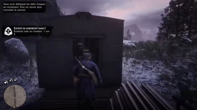 Red Dead 2 Fr Histoire смотреть онлайн