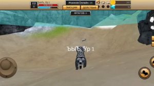 Баги и странная логика в cat simulator animal life