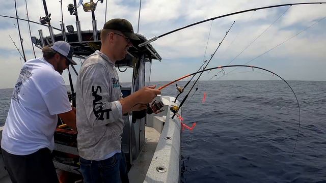 Trigger Fish Catch & Cook - Off Shore Fishing: Tuna, Mahi, Trigger fish, Snapper, Shark and More смотреть онлайн