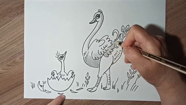 Страус и птенец, как нарисовать маркером и карандашом. смотреть онлайн