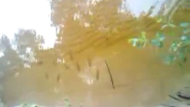 Рыбалка на горьковском море - рыба сама подходит! смотреть онлайн
