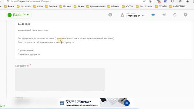 Отзыв "payeer.com" Лохотрон 100%, Scam 100% Украли деньги. смотреть онлайн