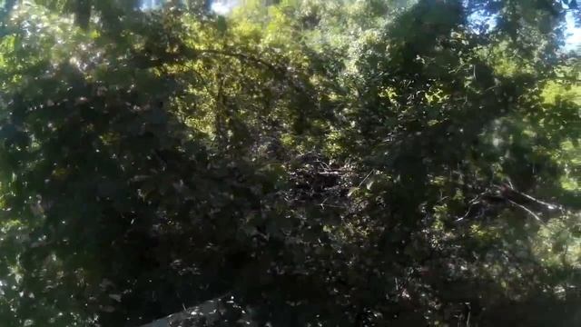 В деревню 2. 6я серия. дрова. липовый цвет. огород. смотреть онлайн