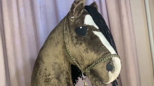 Распаковка хоббихорса ? #хоббихорс #лошади #распаковка #хорс #хоббихоринг #hobbyspring #horse