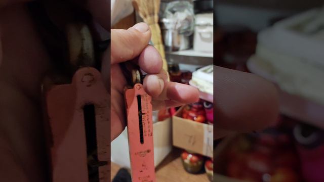 красноголовики