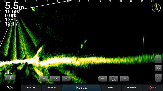 Лес густой....Garmin LiveScope смотреть онлайн