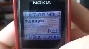 Обзор Nokia 1208