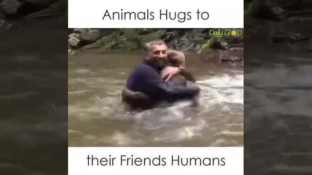 Обнимашки с животными смотреть онлайн