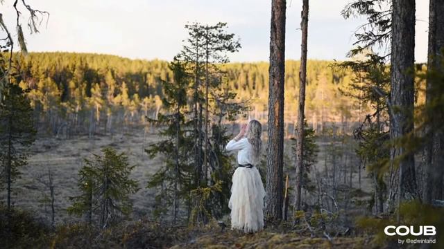 Random COUB compilation #2 смотреть онлайн