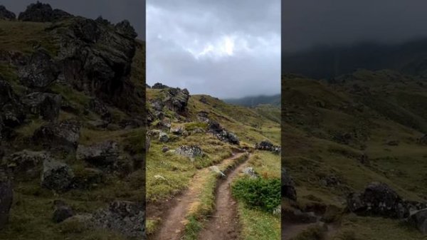 Вкусный пар. Валдай