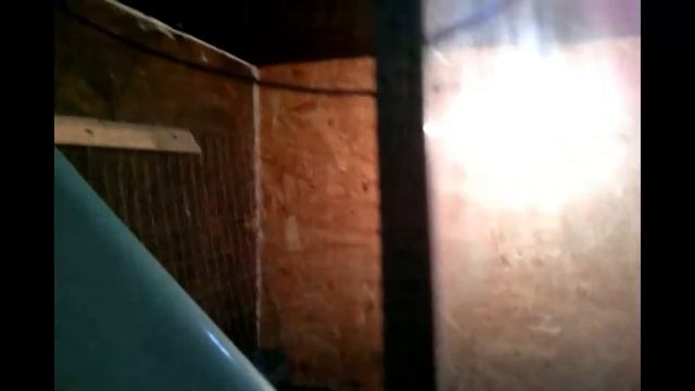 Брудер для цыплят который хорош даже в не отапливаемом помещении!