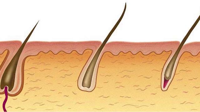 Необычное использование аспирина в быту. смотреть онлайн