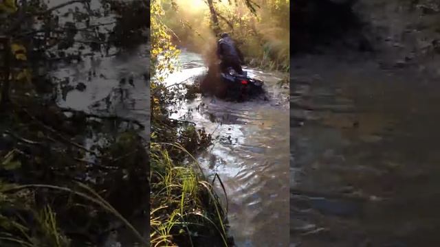 SUZUKI KING QUAD 400 в базе, штурмует болото!!! смотреть онлайн