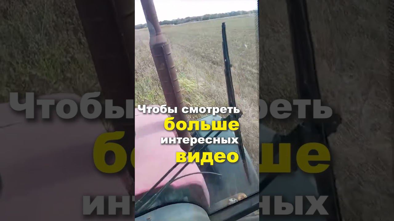 БДМ 3,5х2п дисковка по целине. Видео от подписчика #shorts #трактор #дискатор #бдм #ипсергиенко смотреть онлайн