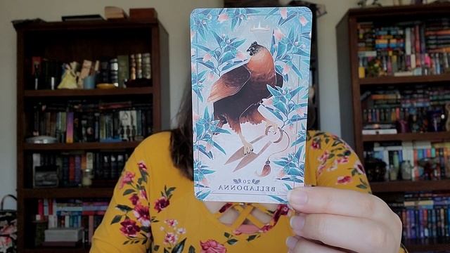 Unboxing The Seed and Sickle Oracle Deck смотреть онлайн