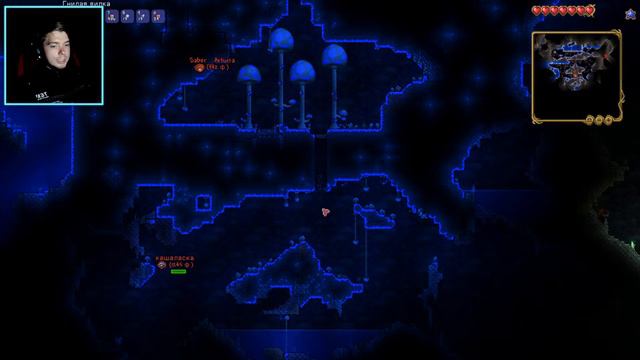 НЕВАЖНЫЙ СТРИМ / Terraria / Новый мир - новые неприятности! смотреть онлайн