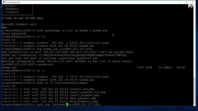 Export / Import Database and Transfer Scripts from a LAMP Server to Another смотреть онлайн