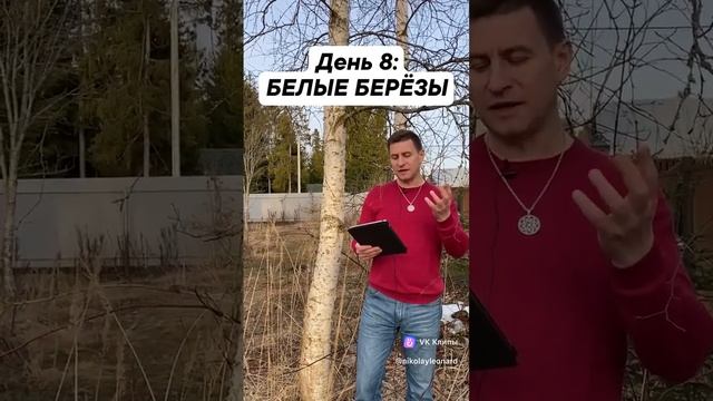 День 8: Белые Берёзы смотреть онлайн