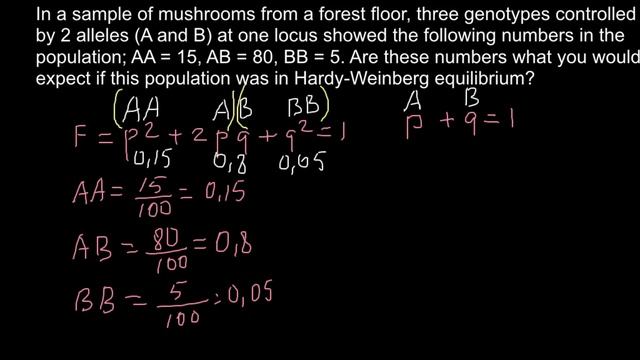 Hardy-Weinberg Equilibrium Applied To Population Genetics Problem