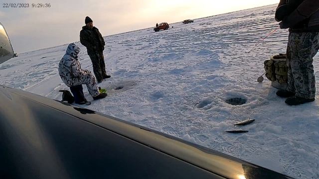 Продолжение рыбалки на омуля... за 22.02.2023. Вид с другой камеры. Клёвая рыбалка получилась. смотреть онлайн